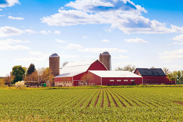 Ontario Farms & Acreage For Sale