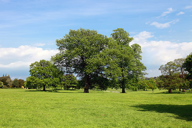 Caledon Vacant Land & Lots For Sale